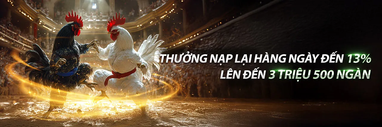 Cá cược thể thao 555winto với sân vận động sôi động