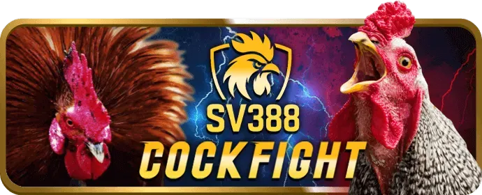 Hướng dẫn chơi Đá Gà 555winto